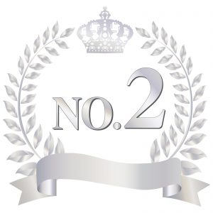 スーツケースレンタル2位